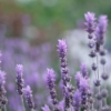 Thumbnail of related posts 092