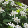 Thumbnail of related posts 036