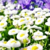 Thumbnail of related posts 193