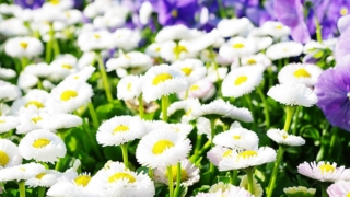Thumbnail of post image 143