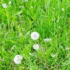 Thumbnail of related posts 082