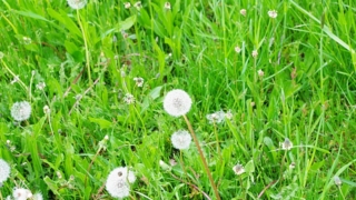 Thumbnail of post image 183