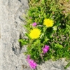 Thumbnail of related posts 116