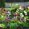 Thumbnail of related posts 001