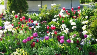 Thumbnail of post image 104