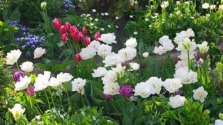 Thumbnail of post image 013