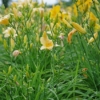 Thumbnail of related posts 132