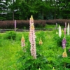 Thumbnail of related posts 175