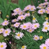 Thumbnail of related posts 081
