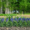 Thumbnail of related posts 132