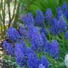 Thumbnail of related posts 053