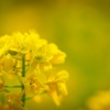 Thumbnail of related posts 016