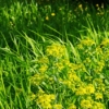Thumbnail of related posts 061