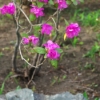 Thumbnail of related posts 086