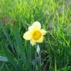 Thumbnail of related posts 119