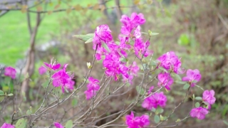 Thumbnail of post image 017