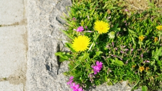 Thumbnail of post image 189