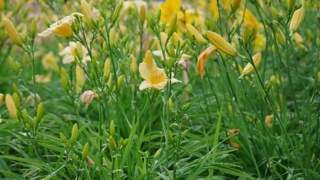 Thumbnail of post image 049