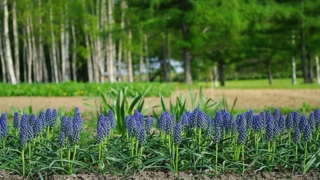 Thumbnail of post image 159