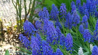 Thumbnail of post image 181