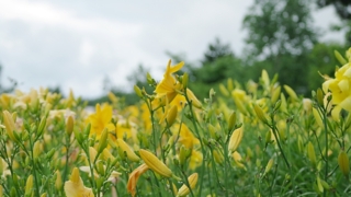 Thumbnail of post image 130