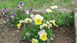 Thumbnail of post image 032