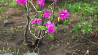 Thumbnail of post image 024