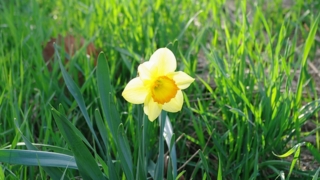 Thumbnail of post image 189