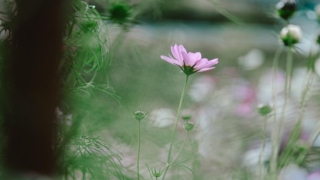 Thumbnail of post image 146