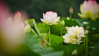 Thumbnail of post image 032